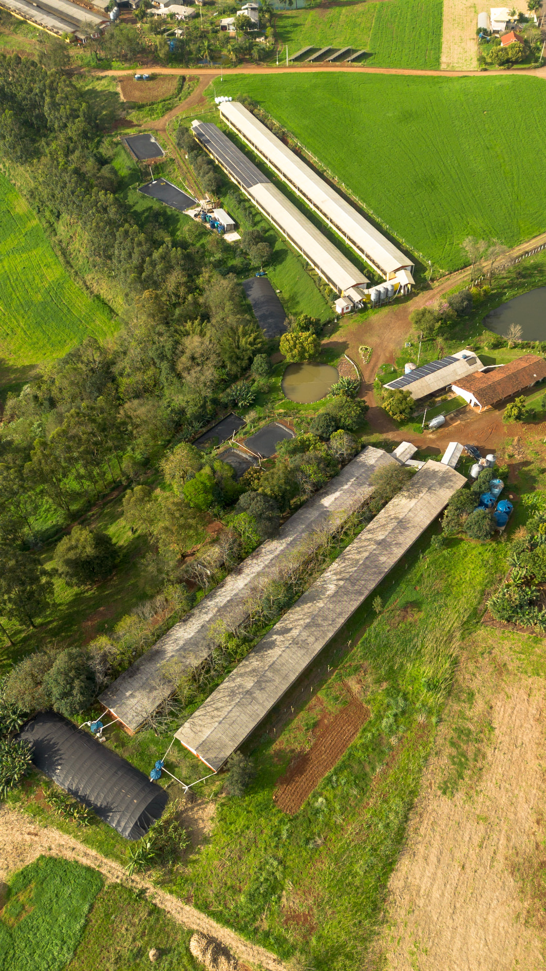 Estrutura rural atendida pela P4 Agronegócios